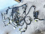 2014-2016 Lexus Is250 2.5l Awd Complete Body Harness Assembly Oem (tested). Fixed Price $499.99.