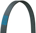 Dayco Serpentine Belt For Air Conditioning 2014-2018 Ford Focus. Fixed Price $24.58.