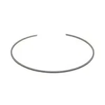 Alto Products Corp Snap Ring A92885a Low / Reverse Pressure Plate Top .080' Thic. Fixed Price $21.82.