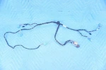 Genuine Volkswagen Vw Evaporator Heater Wiring Harness 5qm971566 2018-2022 Oem. Fixed Price $70.00.
